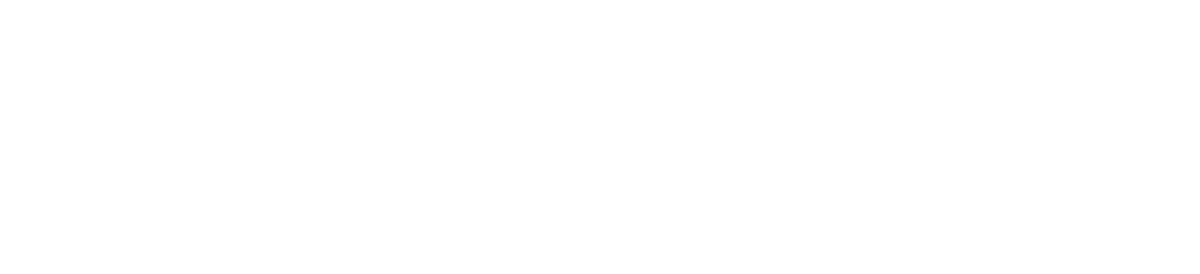 Astroport Logo white