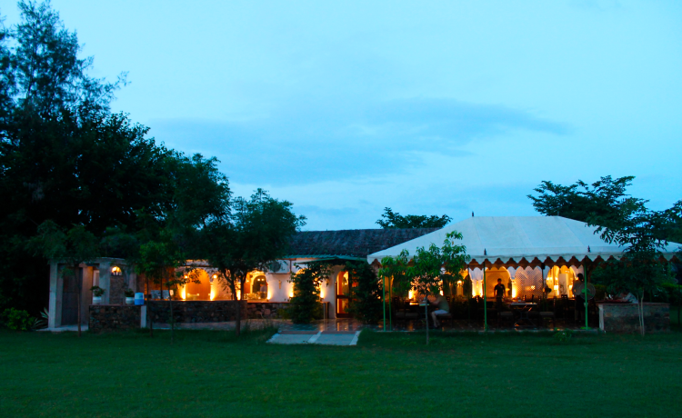 What Makes Astroport Sariska a Unique Stargazing Resort Near Delhi?