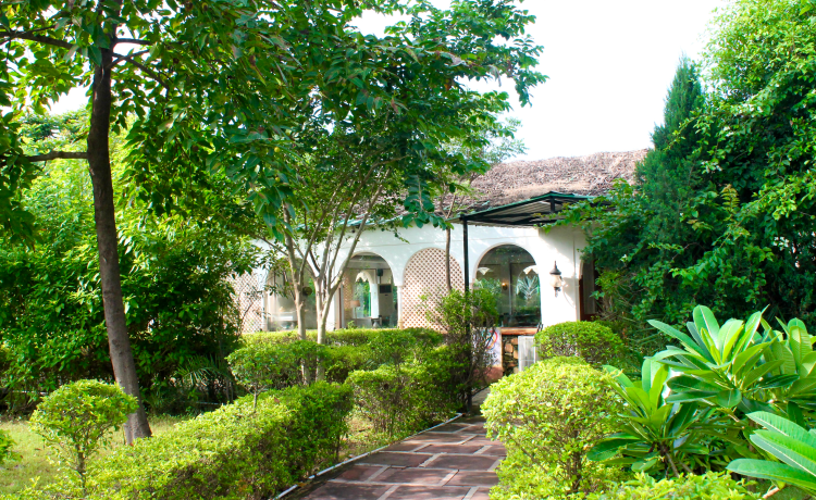 Should You Visit Astroport Sariska?