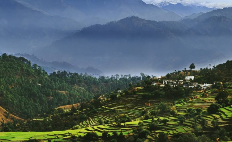 Kausani (Uttarakhand)