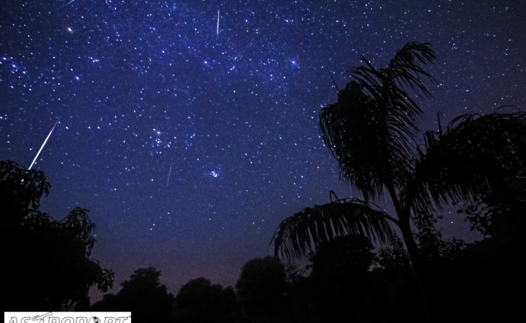 Your Complete Astroport Experience: What Awaits You With Us
