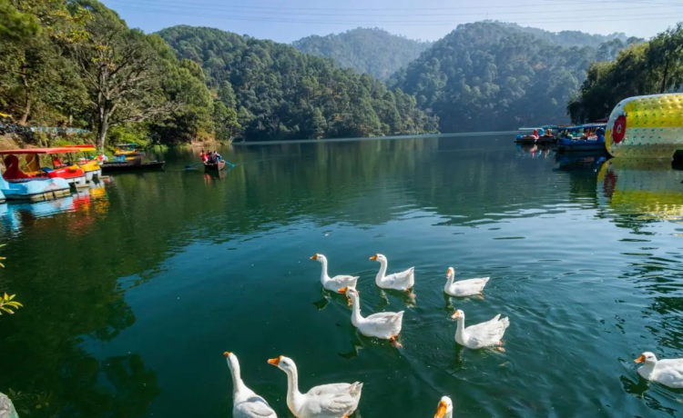 Naukuchiatal (Uttarakhand)