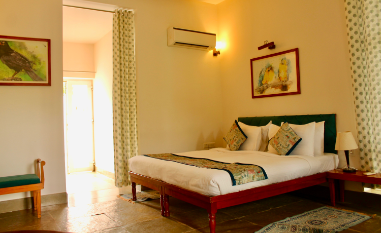 Beyond Astronomy: The Complete Astroport Sariska Experience 