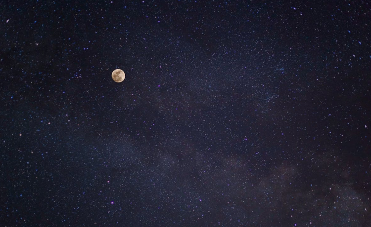 A Deeper Dive into the Astroport Sariska Experience