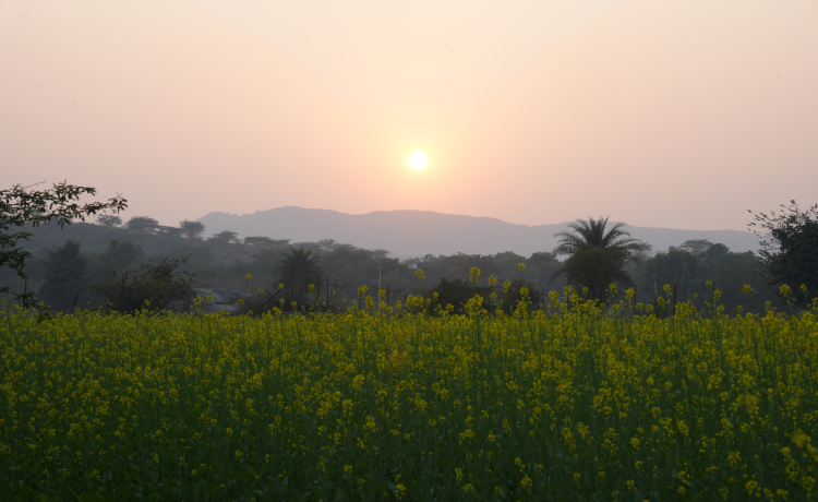 Is everything too light-polluted near Delhi?