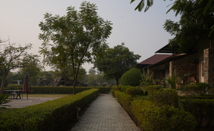 Top 5 Stargazing Resorts Near Delhi NCR for 2025
