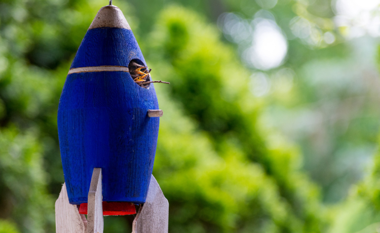 Hydro-Air Rocketry: Physics in Action