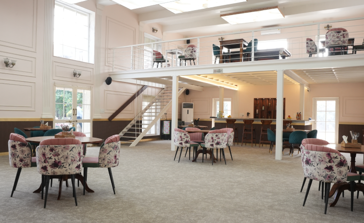 Dining: When Every Meal Tells a Story