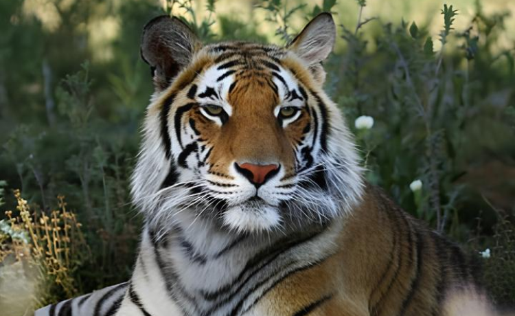 The Bottom Line: Making Your Choice