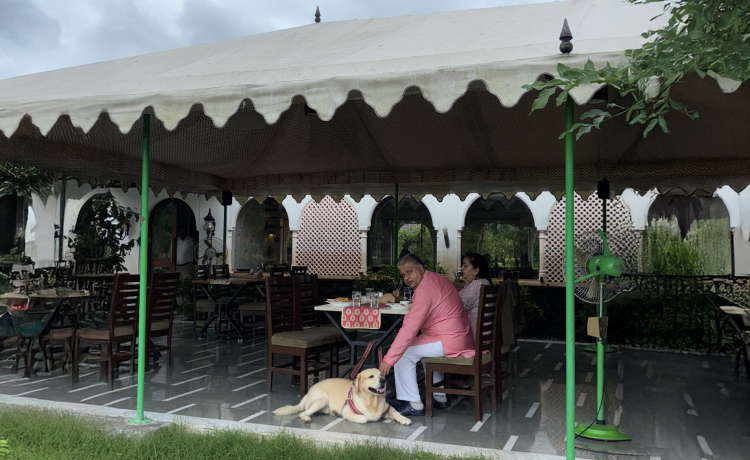 Why Astroport Sariska Makes Your Astronomy Weekend from Delhi Effortless