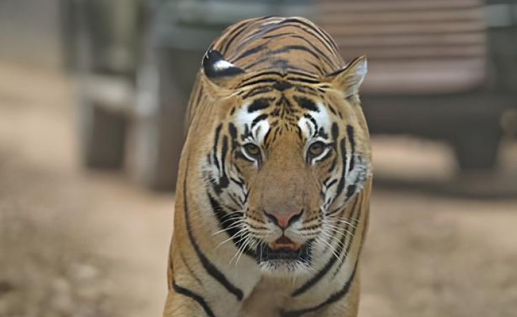 Making Your Decision: A Simple Framework