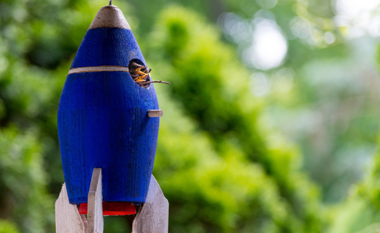 Conclusion: Your Family's Cosmic Adventure Awaits