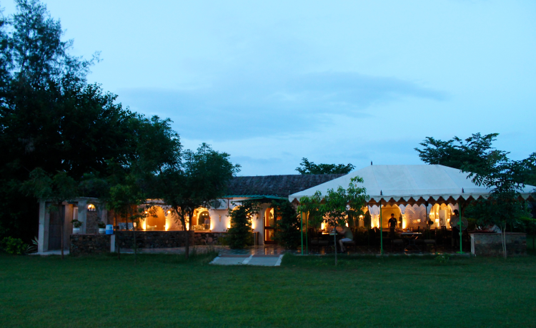 When to Plan Your Astronomy Weekend from Delhi: Timing Is Everything