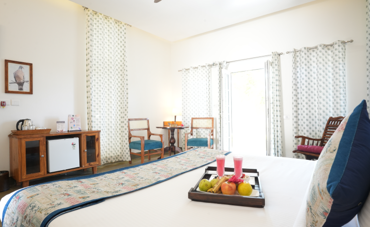 What Separates Astroport from Every Other "Family Resort"