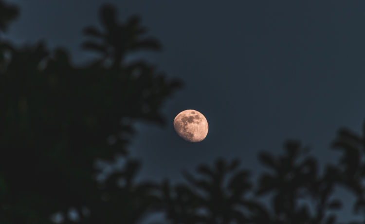 The Moon: Your Secret Weapon for Perfect Stargazing