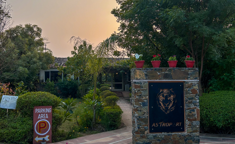 Cost and Value at Astroport Sariska