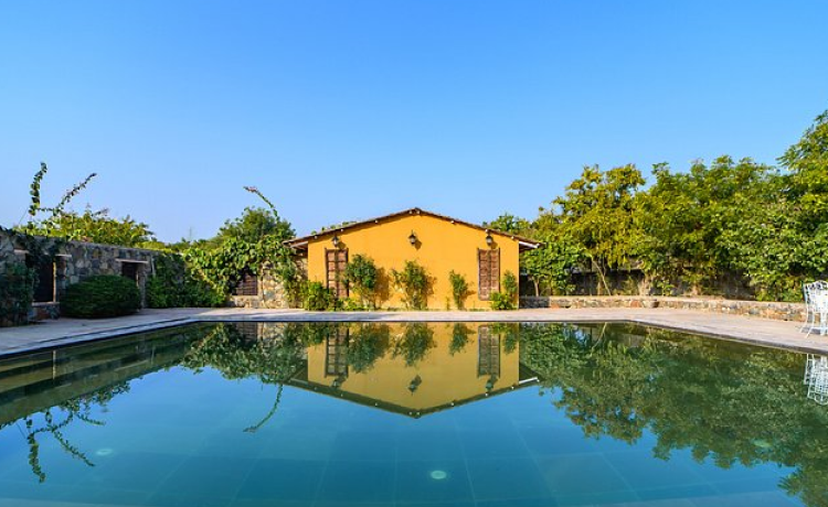 4. The Beehad Luxury Resort: Raw Wilderness with Comfort