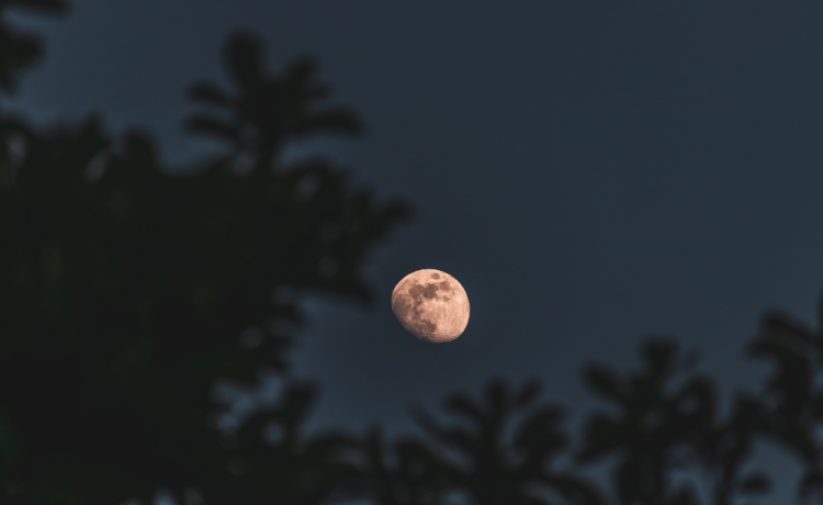Why This Astronomy Weekend from Delhi Will Change How You See the Universe