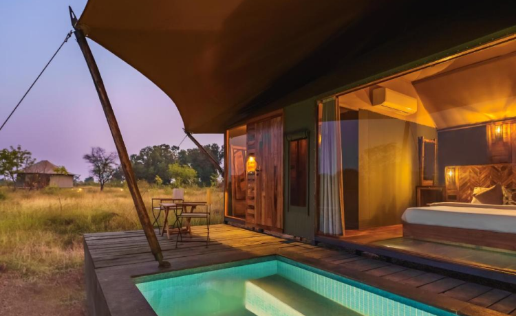 5. Trees & Tigers Resort: The Smart Value Choice