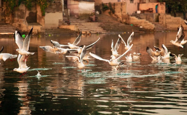 Top 10 Weekend Getaways Under 6 Hours from Delhi for the Ultimate 48-Hour Escape