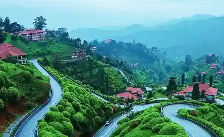 6. Kasauli, Himachal Pradesh: The Colonial Hill Retreat (5-6 Hours)