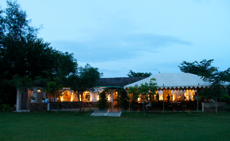 1. Astroport Sariska, Rajasthan: Where Wildlife Meets the Cosmos