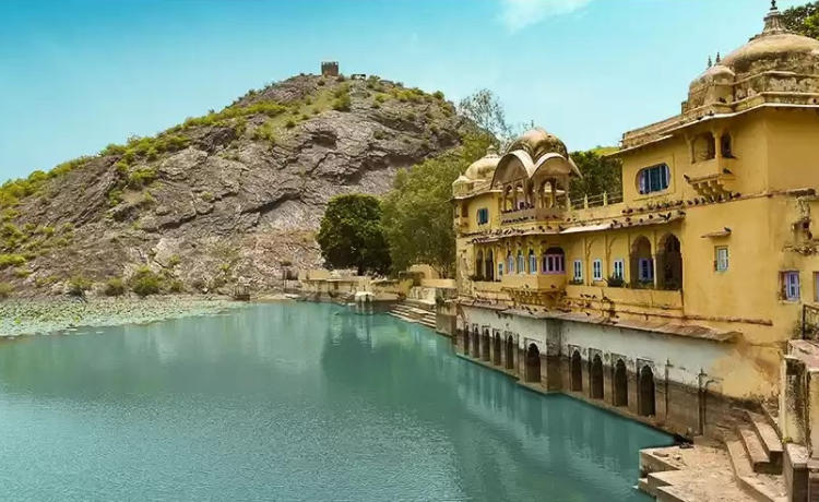 Frequently Asked Questions (FAQs)