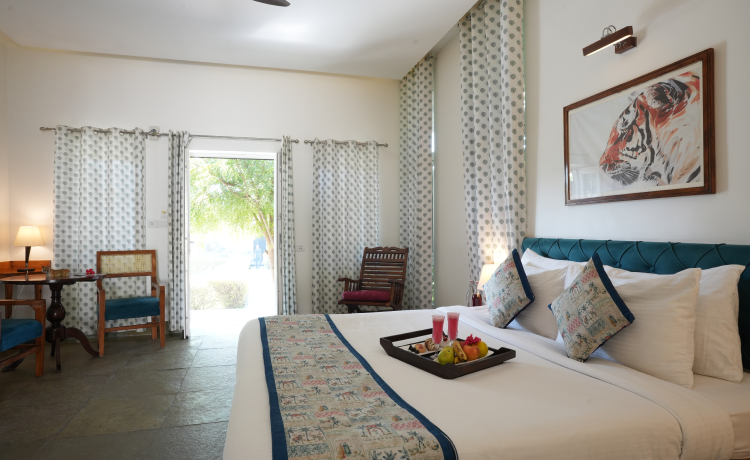 Beyond the Night Sky: Daytime Activities