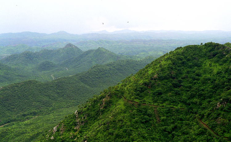 Inside the Astroport Astronomy Experience: What Your Family Actually Does at Night