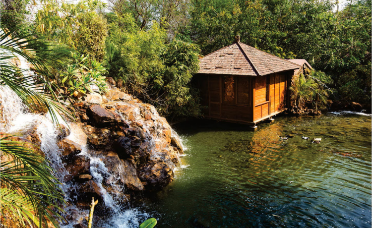 8. Tree House Resort, Jaipur: Whimsical Luxury Among the Canopy