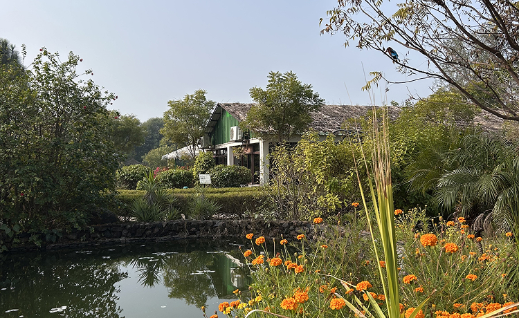 REASON 2: CALMER MIND, LOWER STRESS – THE SCIENCE OF LOOKING UP