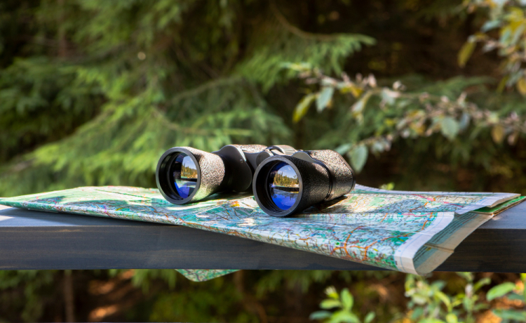 What to Pack for a Kid-Friendly Stargazing Trip