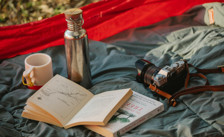 Why Astroport Sariska Is the Perfect Base for Your Family or Student Stargazing Trip