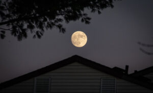 7 Astronomy Travel Trends You’ll See in India by 2026