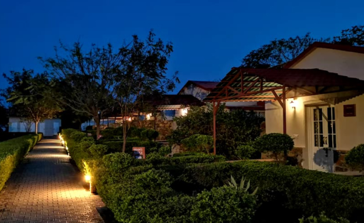 Best Time of Year for Stargazing Near Sariska Tiger Reserve