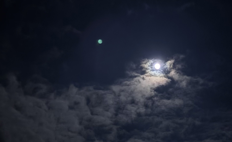 Why Dark-Sky Locations Matter for Astronomy Camps in India