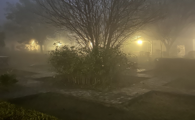 Best Time to Visit an Astronomy Camp in India