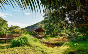 Why Eco Resorts Are the Future of Weekend Travel