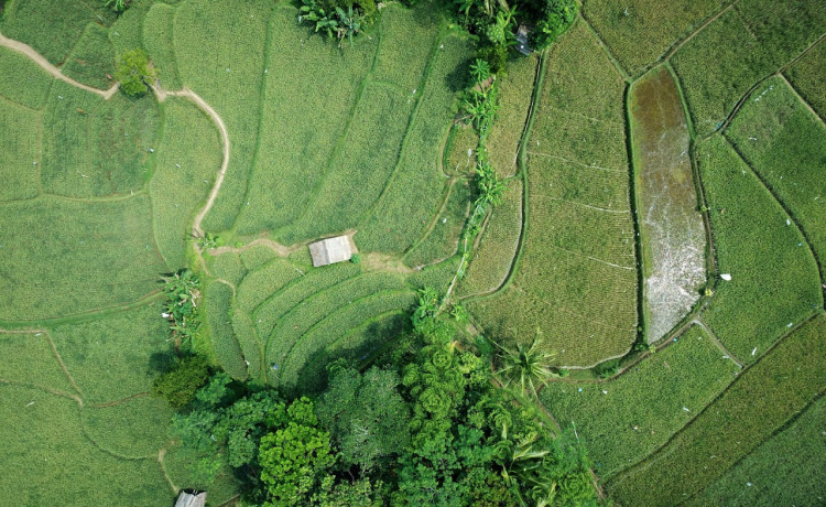 What Is Agrotourism? Experience It at Astroport Sariska