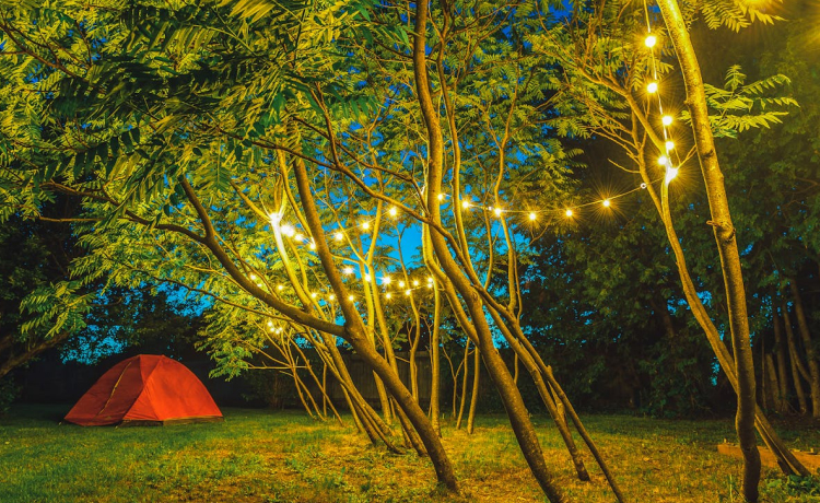What Is Glamping and Why Is It Booming Near Delhi?