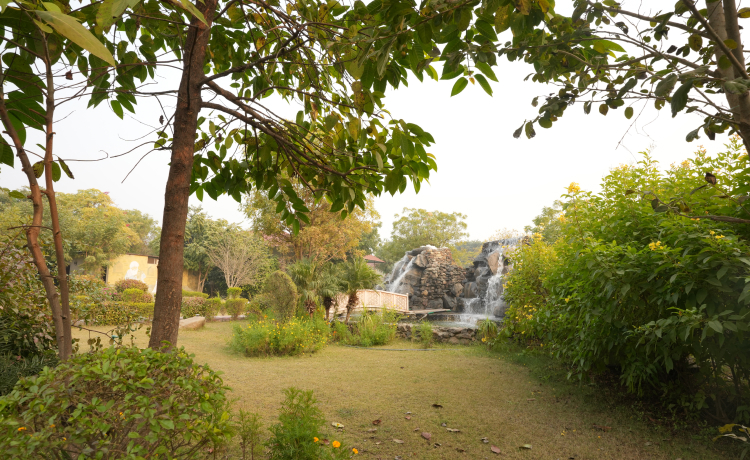 Quick Facts: Eco Resort Rajasthan at Astroport Sariska