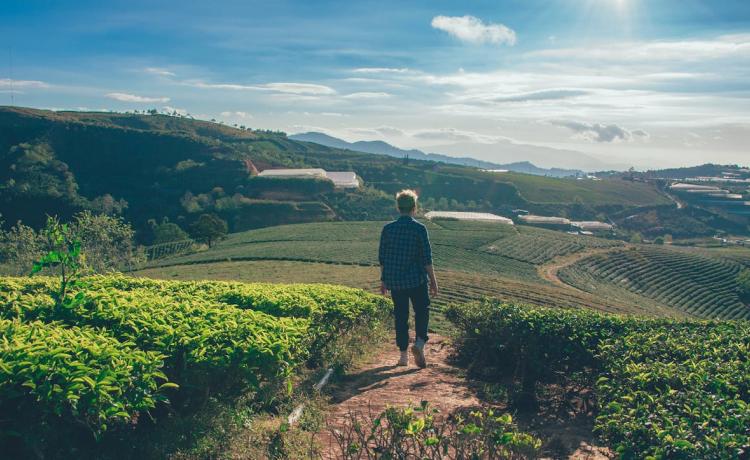 Why Agrotourism Is Growing Near Delhi