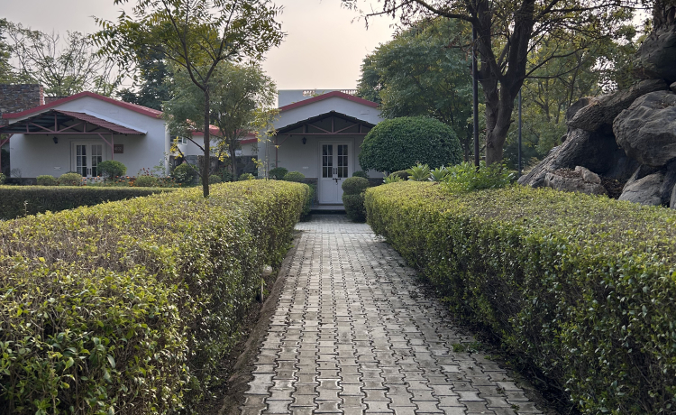 What You Experience at Astroport Sariska's Organic Farm