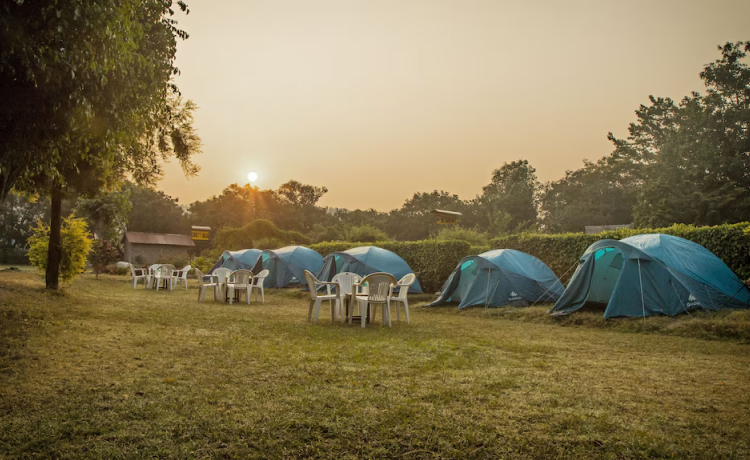 3. Jim Corbett National Park, Uttarakhand — Jungle Glamping at Its Finest