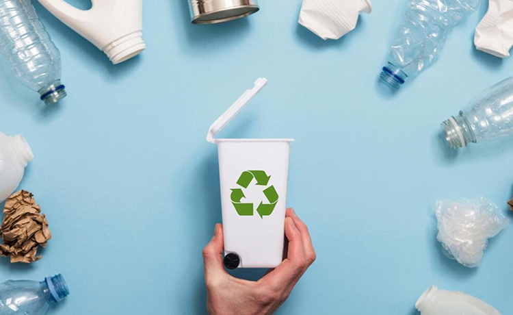 2. Zero Single-Use Plastic Across the Entire Property