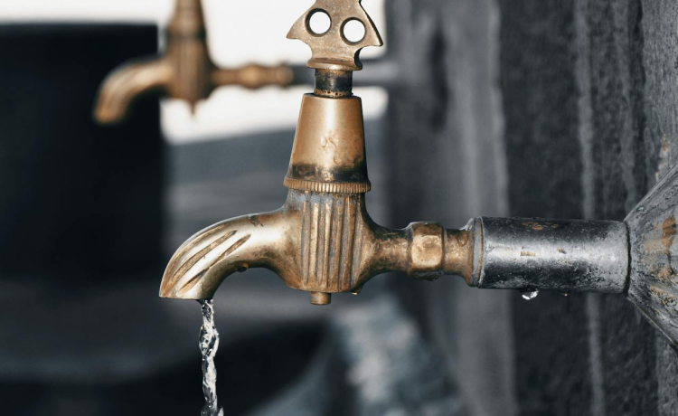 4. Rainwater Harvesting and Drip Irrigation