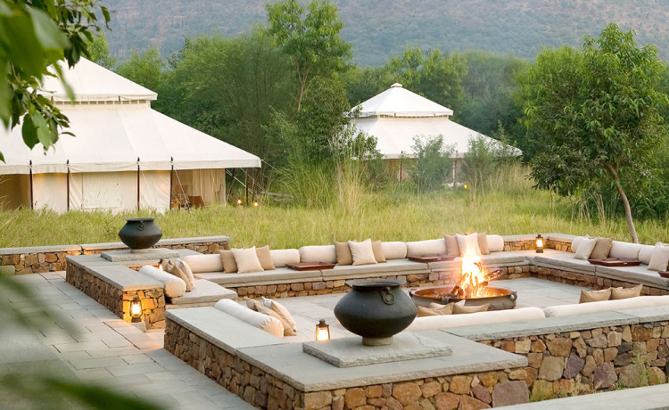 6. Ranthambore Buffer Zone, Rajasthan — Desert Glamping with Tiger Country Energy