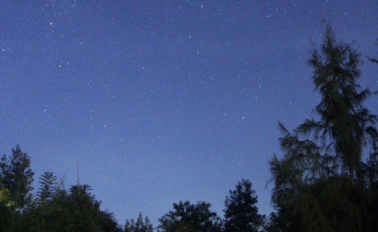 7. Dark Sky Conservation: Protecting the Night as a Natural Resource