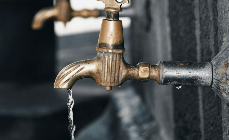 Rainwater Harvesting and Drip Irrigation: Treating Water Like the Precious Resource It Is