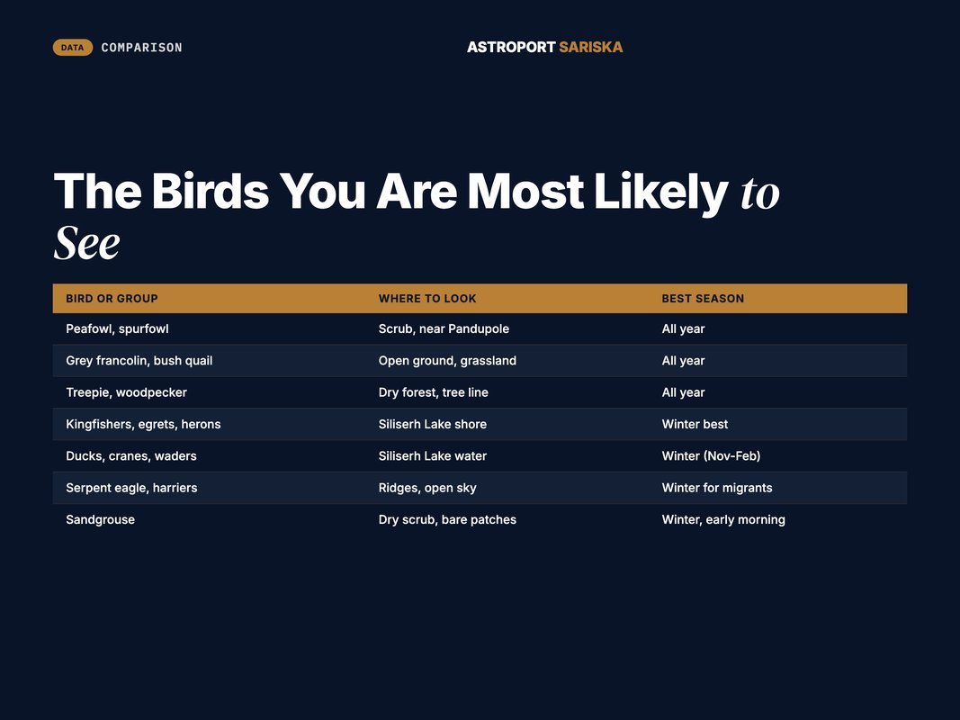 Table of Sariska bird groups, where to find them, and the best season
